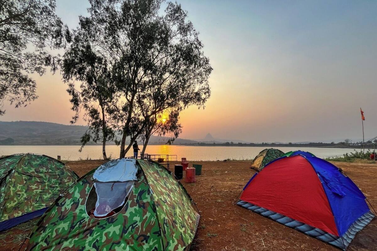 A campsite with several tents, a tree, and a sunset over a body of water.