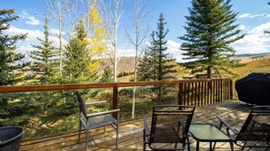 Property grounds - Aspen - Casa Connable (Aspen)