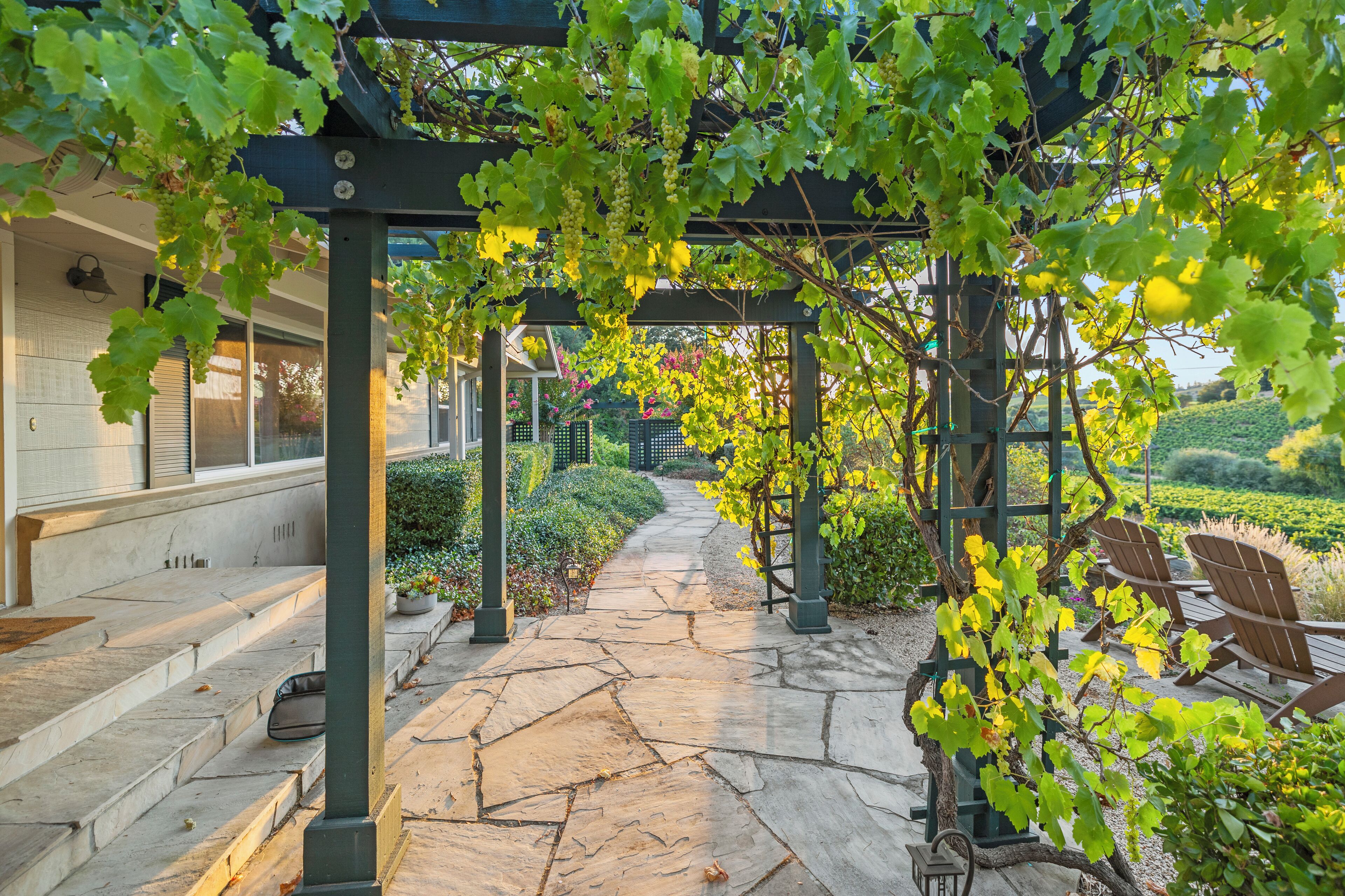 Un sendero de piedra conduce a una pérgola con enredaderas verdes, asientos al aire libre y una zona de jardín.