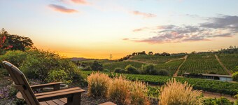 Serene Vineyard Escape with Stunning Valley Views