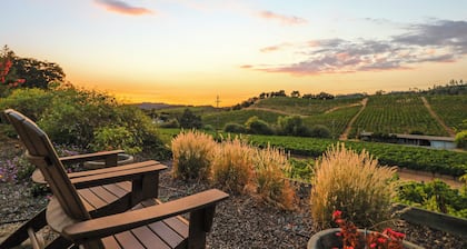 Serene Vineyard Escape with Stunning Valley Views