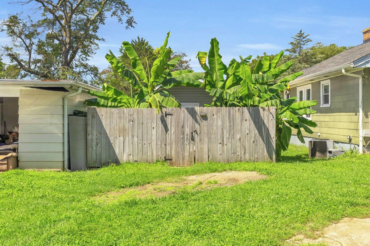Une cour arrière clôturée avec un abri de jardin, un bananier et une maison.