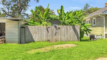 Une cour arrière clôturée avec un abri de jardin, un bananier et une maison.