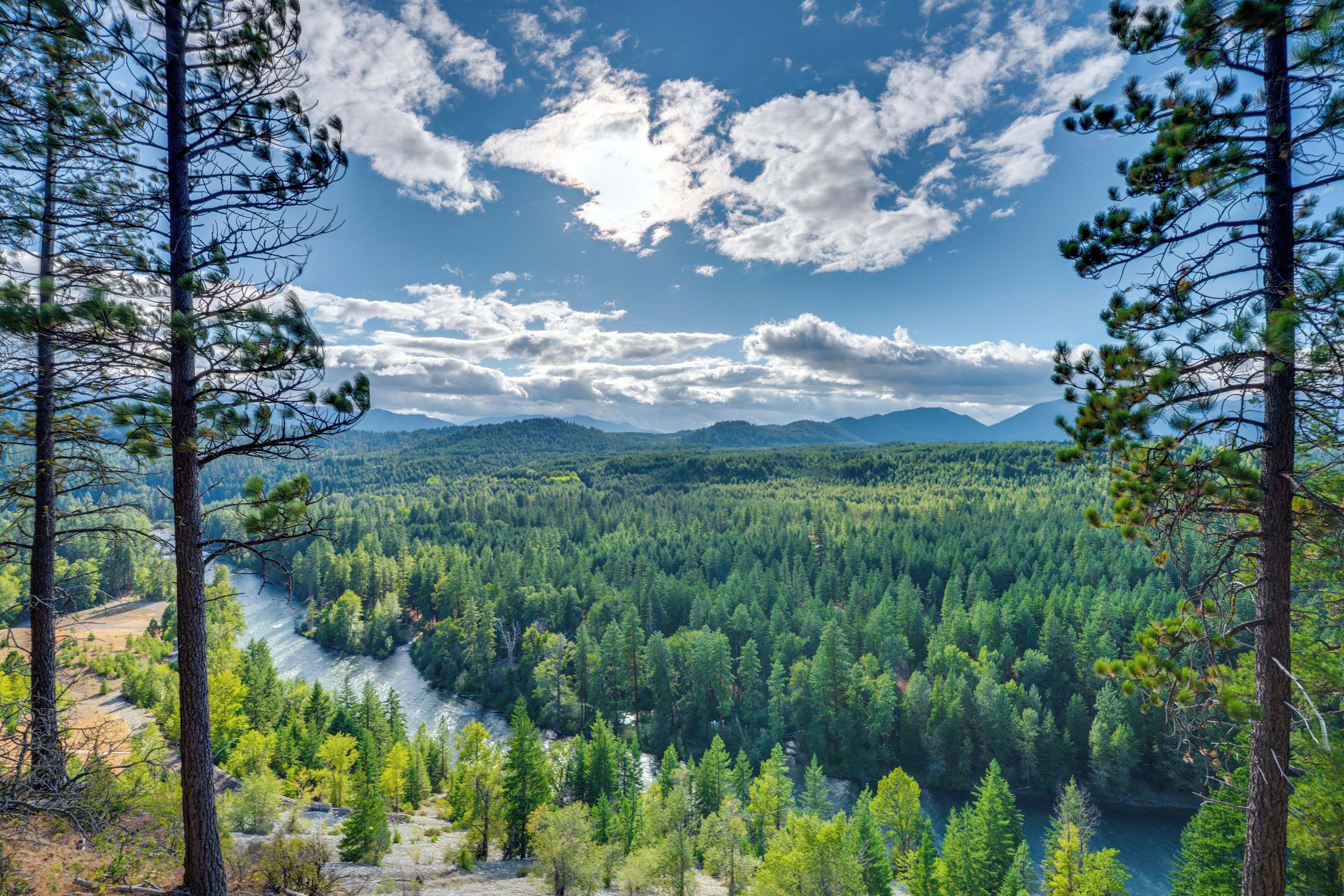 A forested landscape with a river, mountains in the distance, and a clear sky.