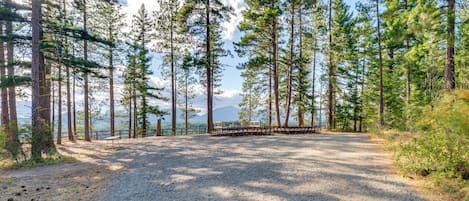 A gravel path leading through a forested area with tall pine trees and a bench in the distance.