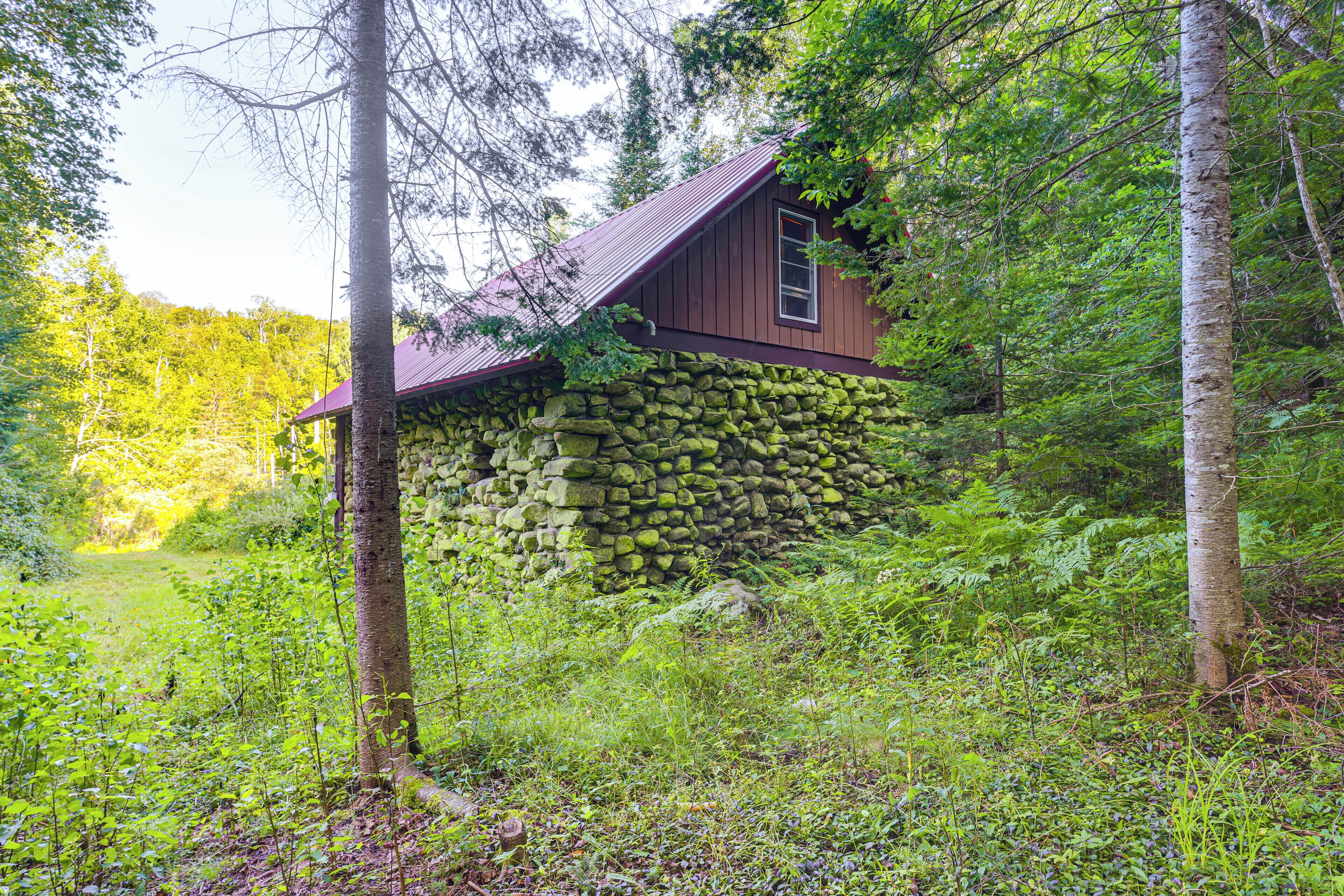 A rustic cabin with a stone foundation and a metal roof, surrounded by dense forest.