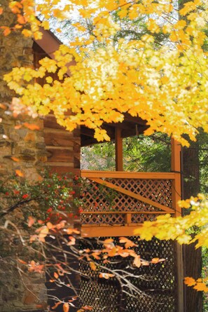 Exterior detail - Outdoors Sleeps7 Family Getaway Fun Arcade Villa (Rockbridge)