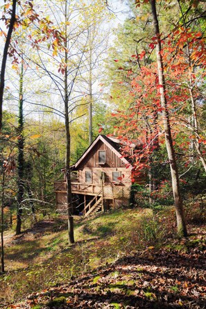 Exterior - Outdoors Sleeps7 Family Getaway Fun Arcade Villa (Rockbridge)