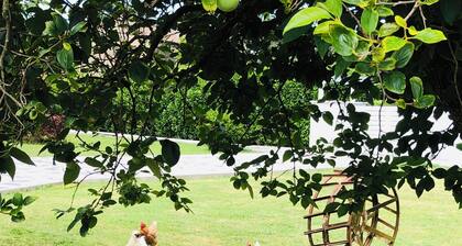 Modern cottage surrounded by nature