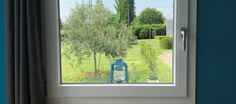 Modern cottage surrounded by nature