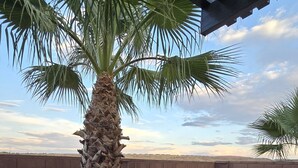 A patio area with a palm tree, a brick wall, a concrete bench, and a pergola structure. - Trailhead Hideaway ... a lovely 3-bedroom townhome in Washington, Utah (Washington)