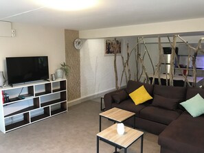 Fernseher, Bücher