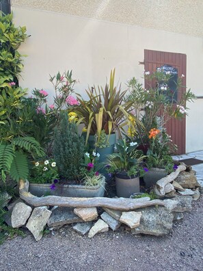 Ein Garten mit verschiedenen Topfpflanzen und Blumen vor einem Gebäude mit einer Holztür.