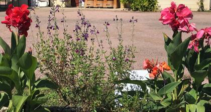 Gites au calme avec jardin, terrasse, parking... tout pour un excellent repos !