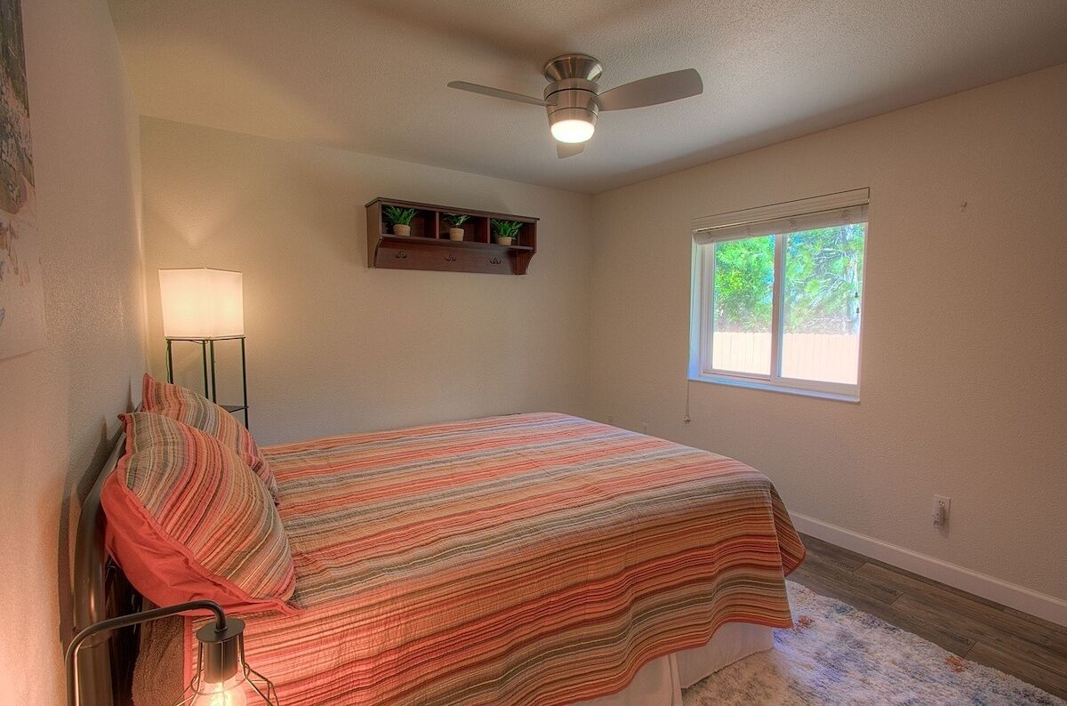 A bedroom with a bed, a ceiling fan, a window, and a shelf with plants.