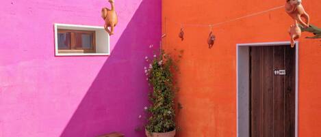 A courtyard with a pink wall, a wooden bench, a potted plant, and a door with a sign.