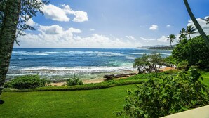 A coastal view with a grassy area, a beach, and the ocean. - Oceanfront Studio with Panoramic Views - Kapa'a Sands 09 (Kapaa)