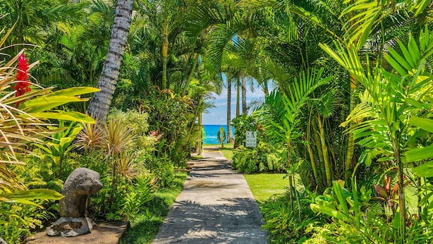 A pathway lined with tropical plants leading to a beach. - Oceanfront Studio with Panoramic Views - Kapa'a Sands 09 (Kapaa)