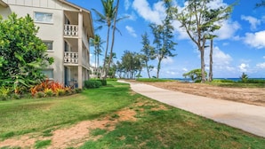 A hotel with a paved walkway leading to a beach, surrounded by palm trees and lush greenery.