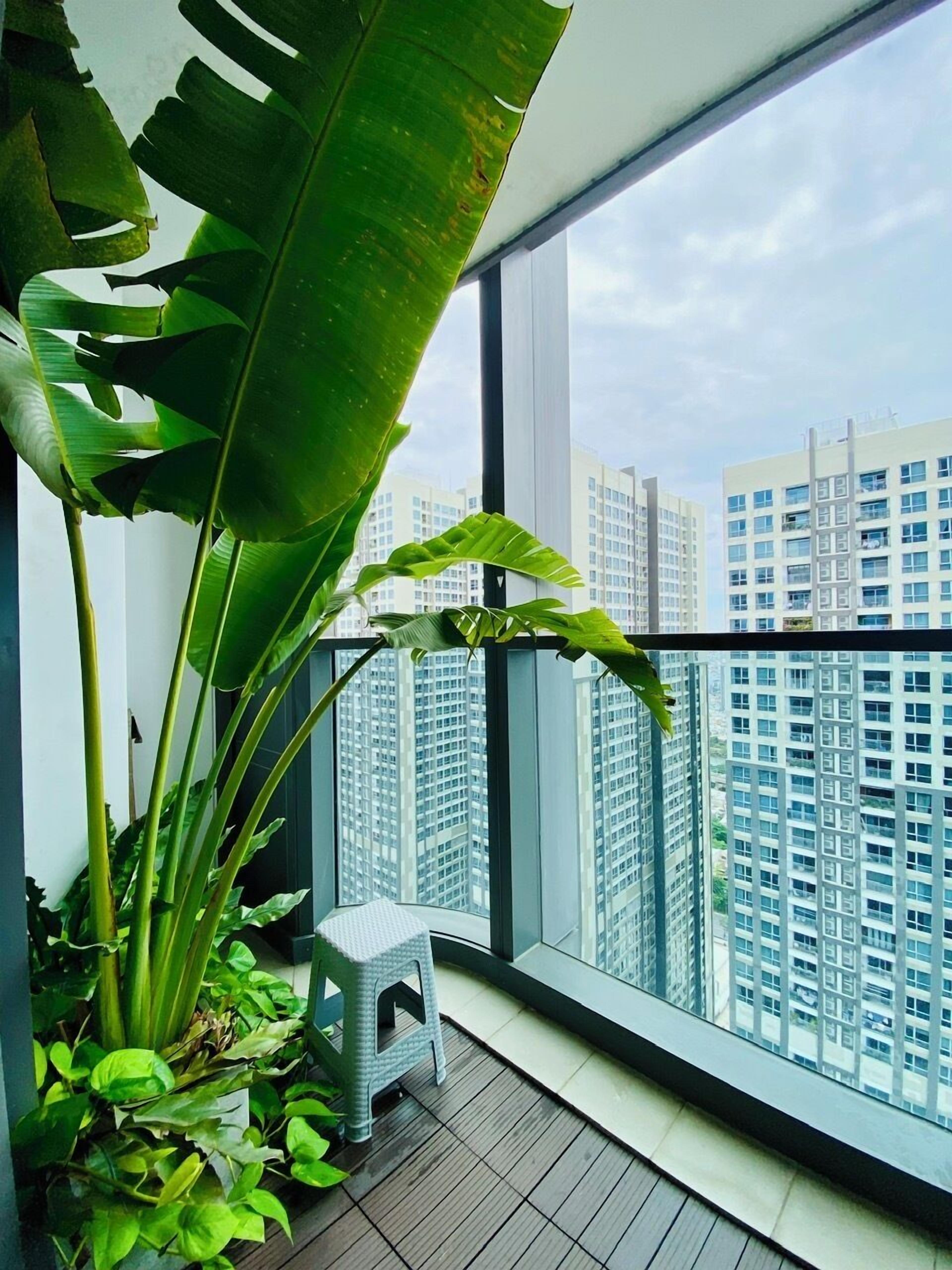 A balcony with large windows, a potted plant, and a small stool.