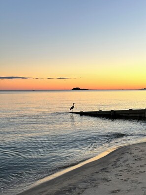 Beach - Oceanfront Modern Luxury 3-bedroom beach house (Westbrook)