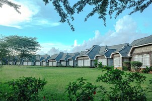 Habitación individual Deluxe, vistas al jardín | Vistas al jardín