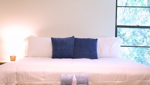 A large bed with white and blue bedding, a small bedside table, and a window with a view of trees. - Quiet home tucked between Crystal River & Rainbow River (Crystal River)
