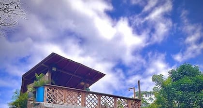 Selva Maria Tayrona
