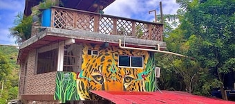 Selva Maria Tayrona