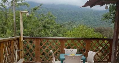 Selva Maria Tayrona
