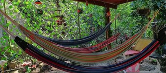 Selva Maria Tayrona