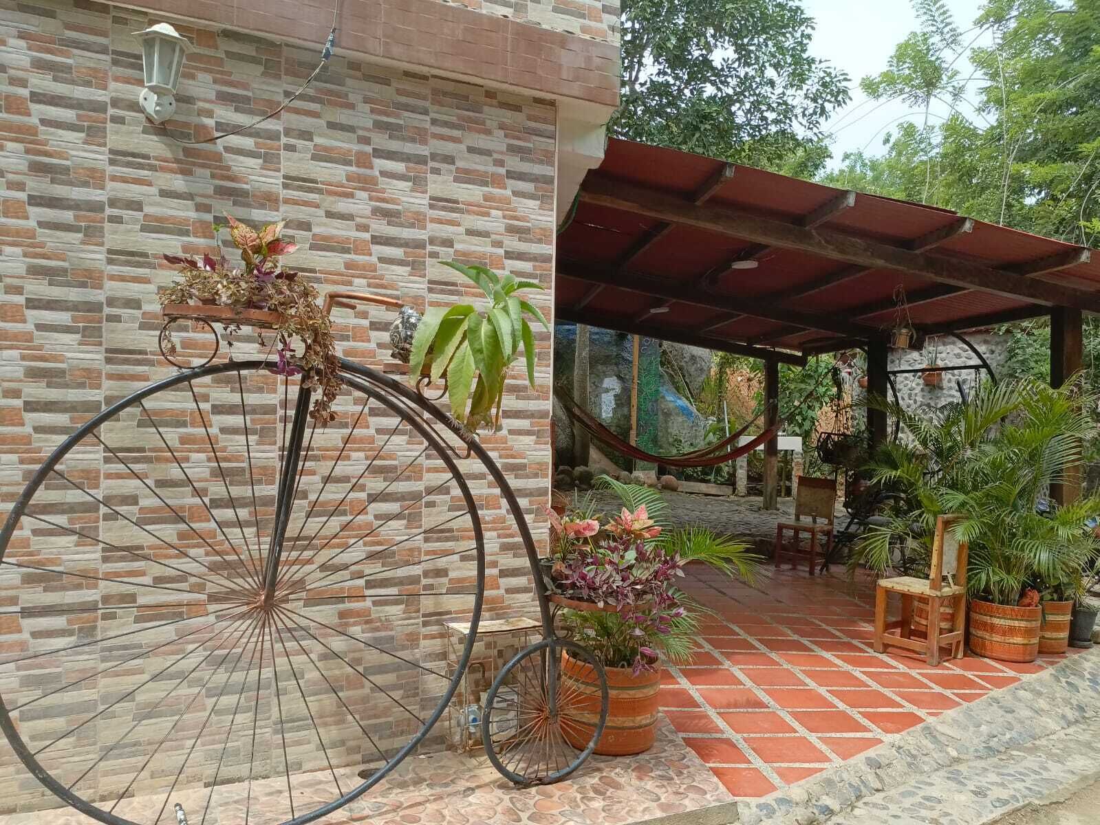 Una bicicleta apoyada en una pared de ladrillo, una hamaca y un porche cubierto con plantas en macetas y una silla de madera.