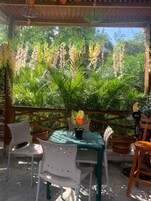 Terraza en la azotea