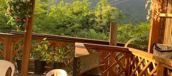 Selva Maria Tayrona