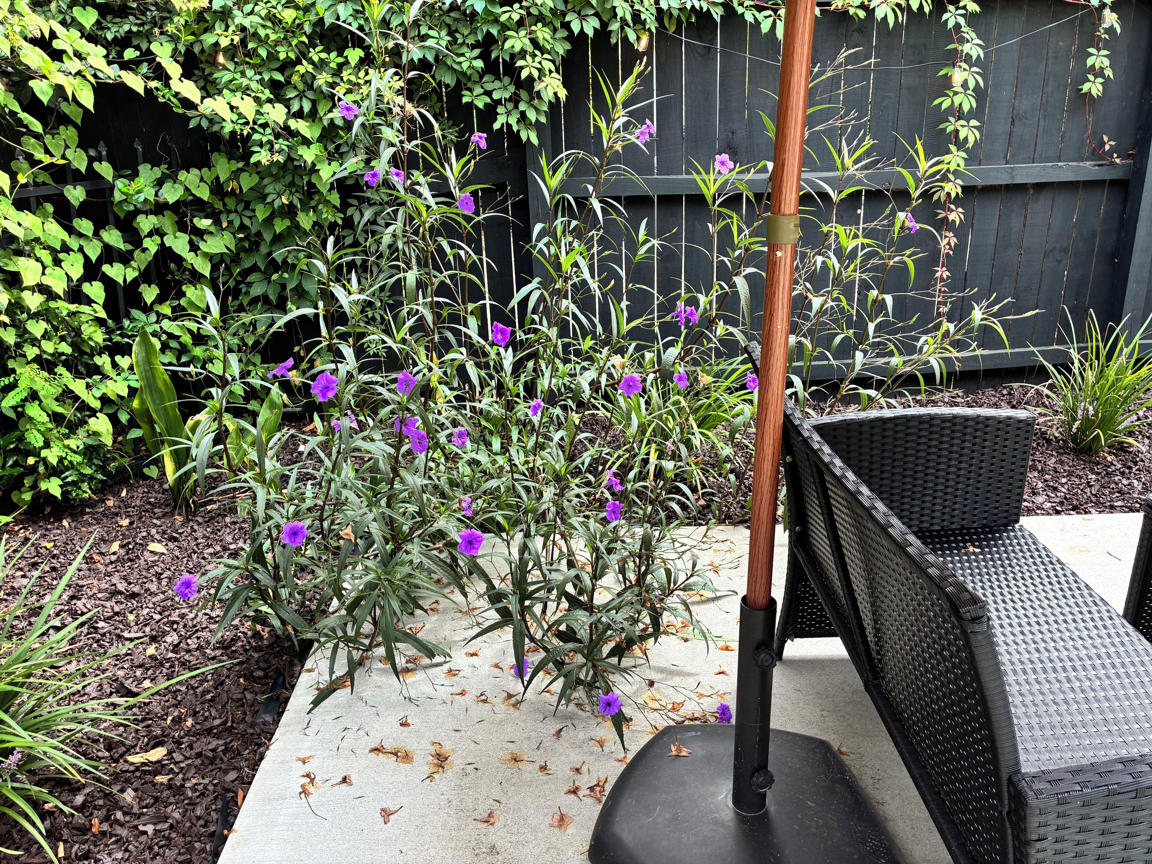Un jardín con una silla de metal negro y un poste de madera.