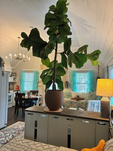 Charming Cottage in Historical Beaufort, SC.