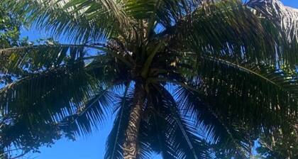 Breathtaking sea view, located in Anse Mitan aux Trois Ilets