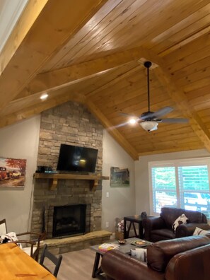 Smart TV, fireplace, DVD player, books