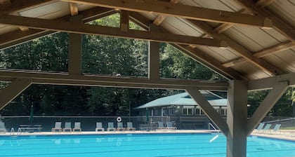 NEW Dog- Friendly Soothing Modern Cabin In Ellijay-Fire Pit & Resort Amenities!