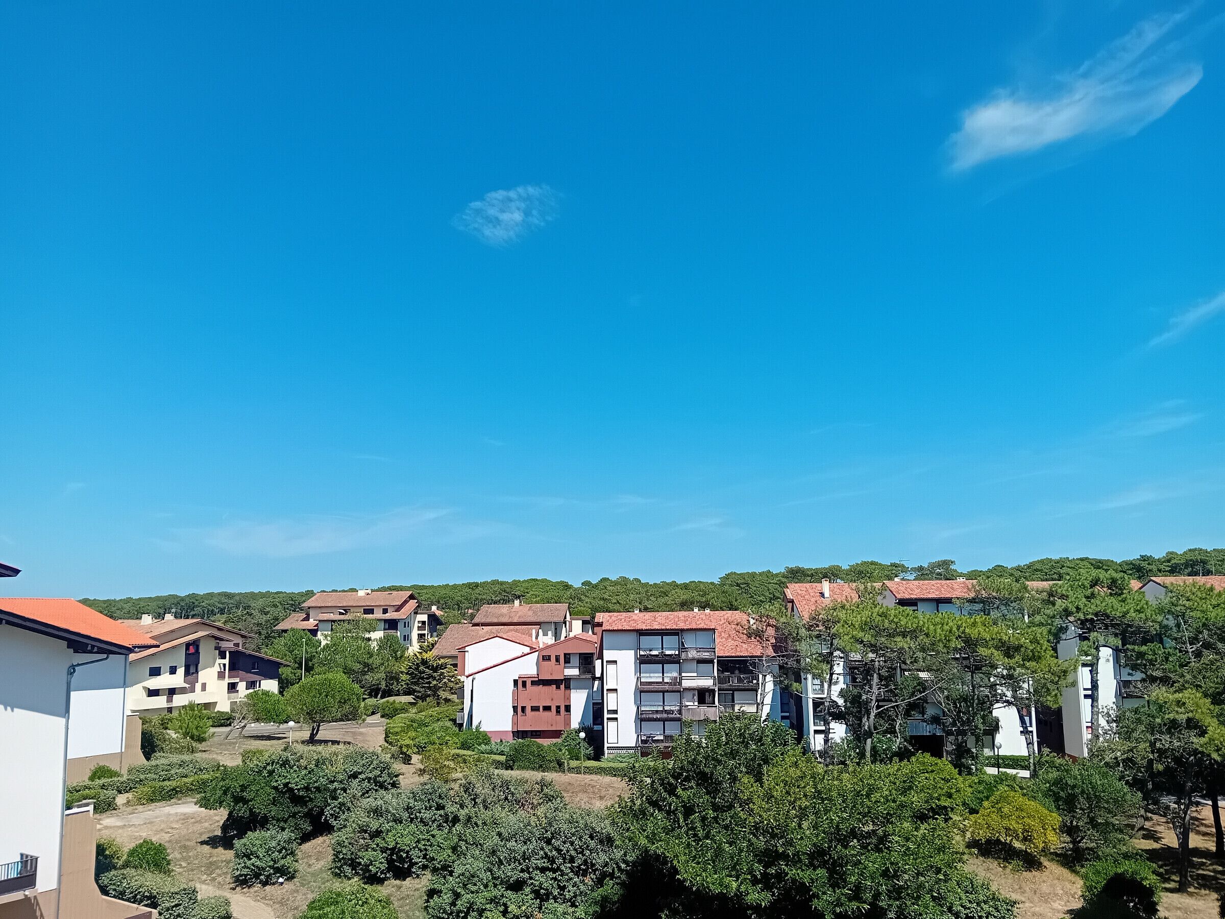 Un quartier résidentiel comprenant plusieurs immeubles d’appartements, des espaces verts et un ciel d’un bleu éclatant.