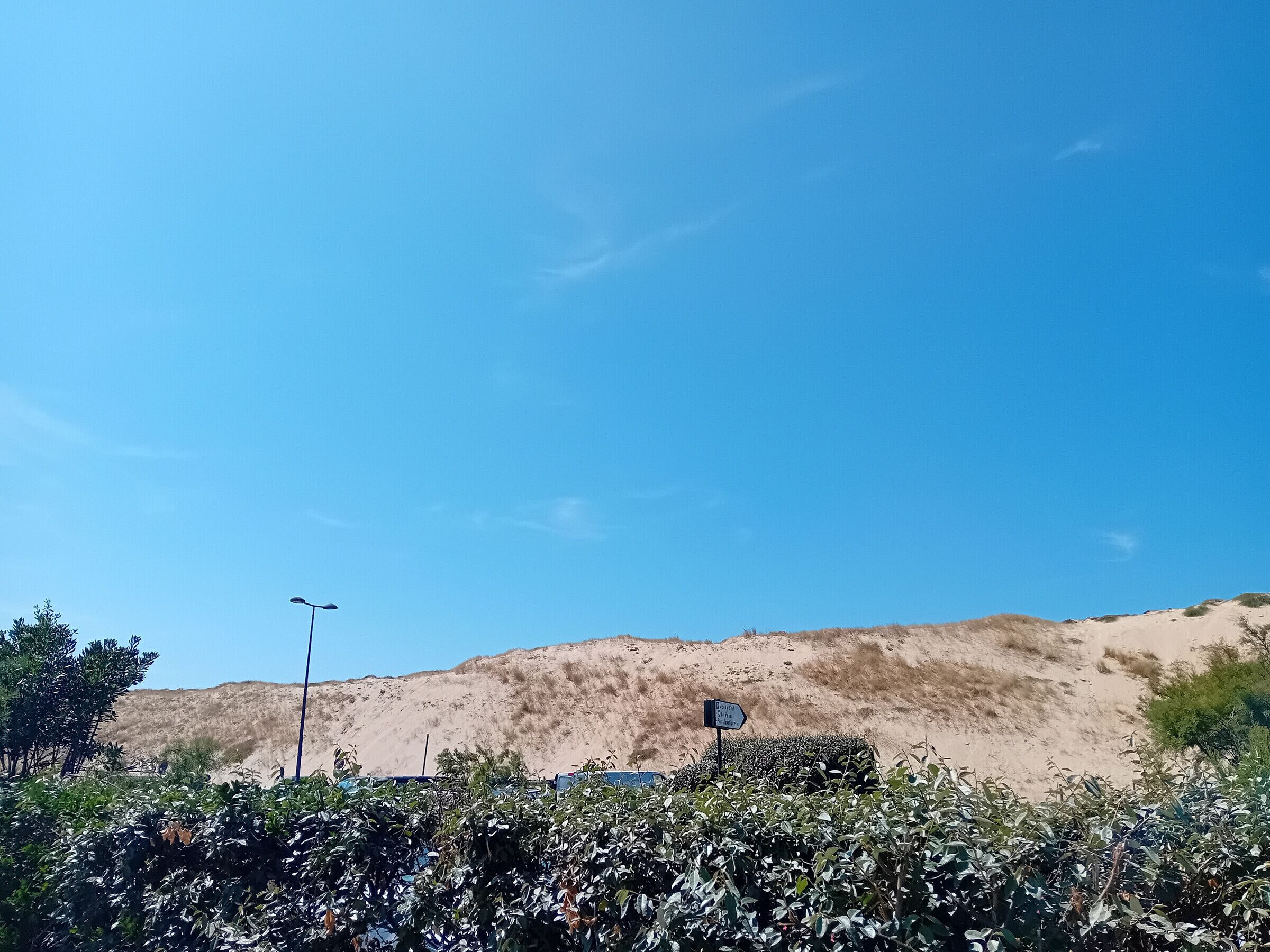 Paisaje desértico con vegetación escasa y un cielo azul despejado.