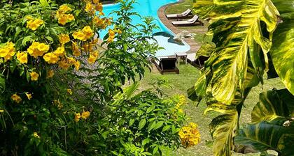 Duna Paraiso MaceiĂł