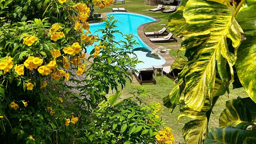 Duna Paraiso MaceiĂł