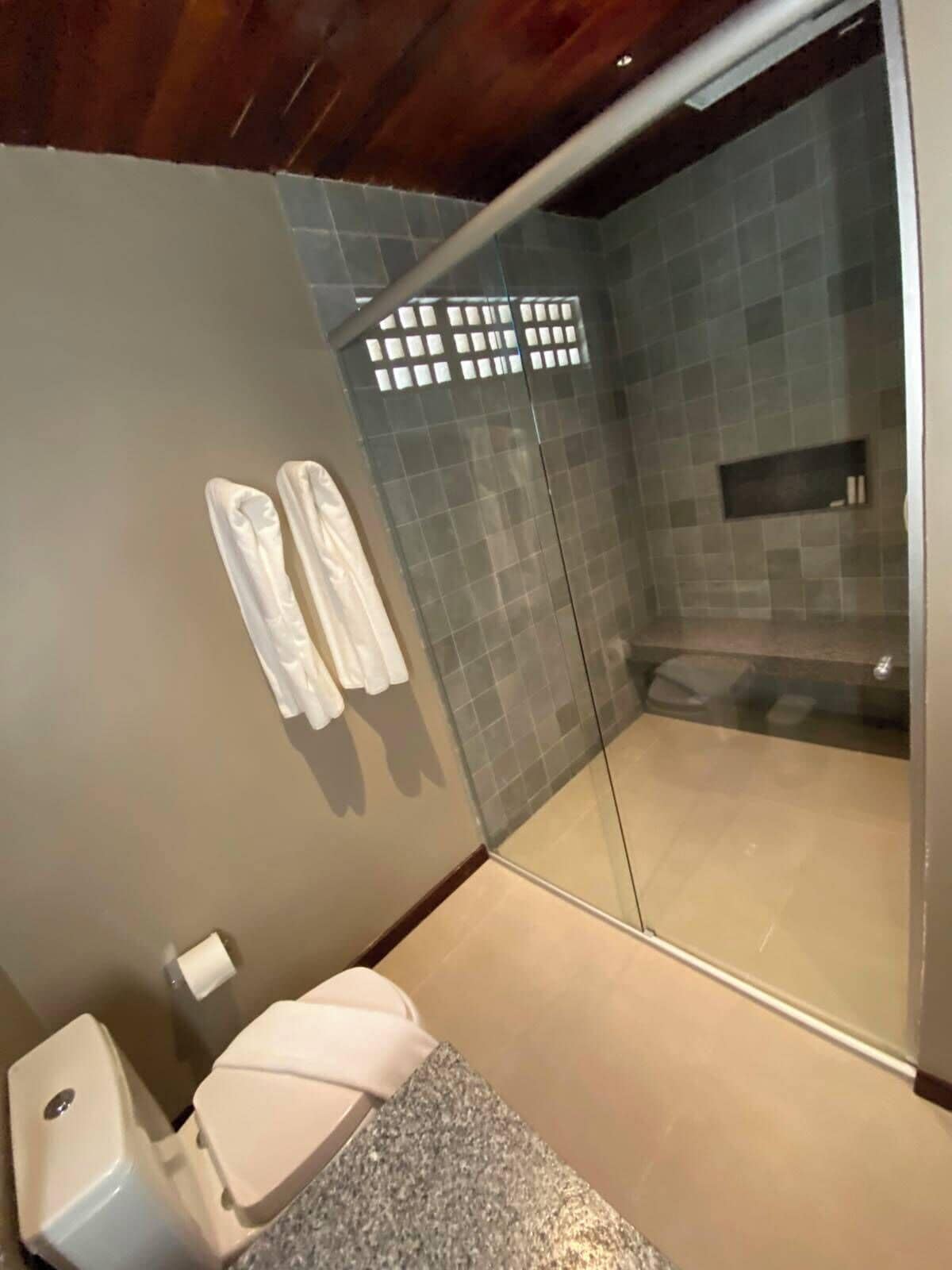 A bathroom with a toilet, a shower with a glass door, and a towel rack with two towels.