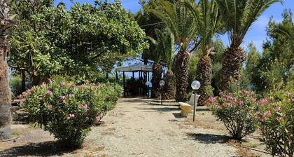 Martinella House - Residence Baia Renella