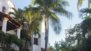 Pool - Stylish Condo with Rooftop Terrace in the Heart of Playa Walk to Beach & 5th Ave (PLAYA DEL CARMEN)