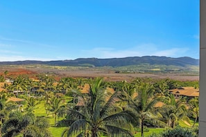 A resort with a view of distant mountains, palm trees, and a golf course.
