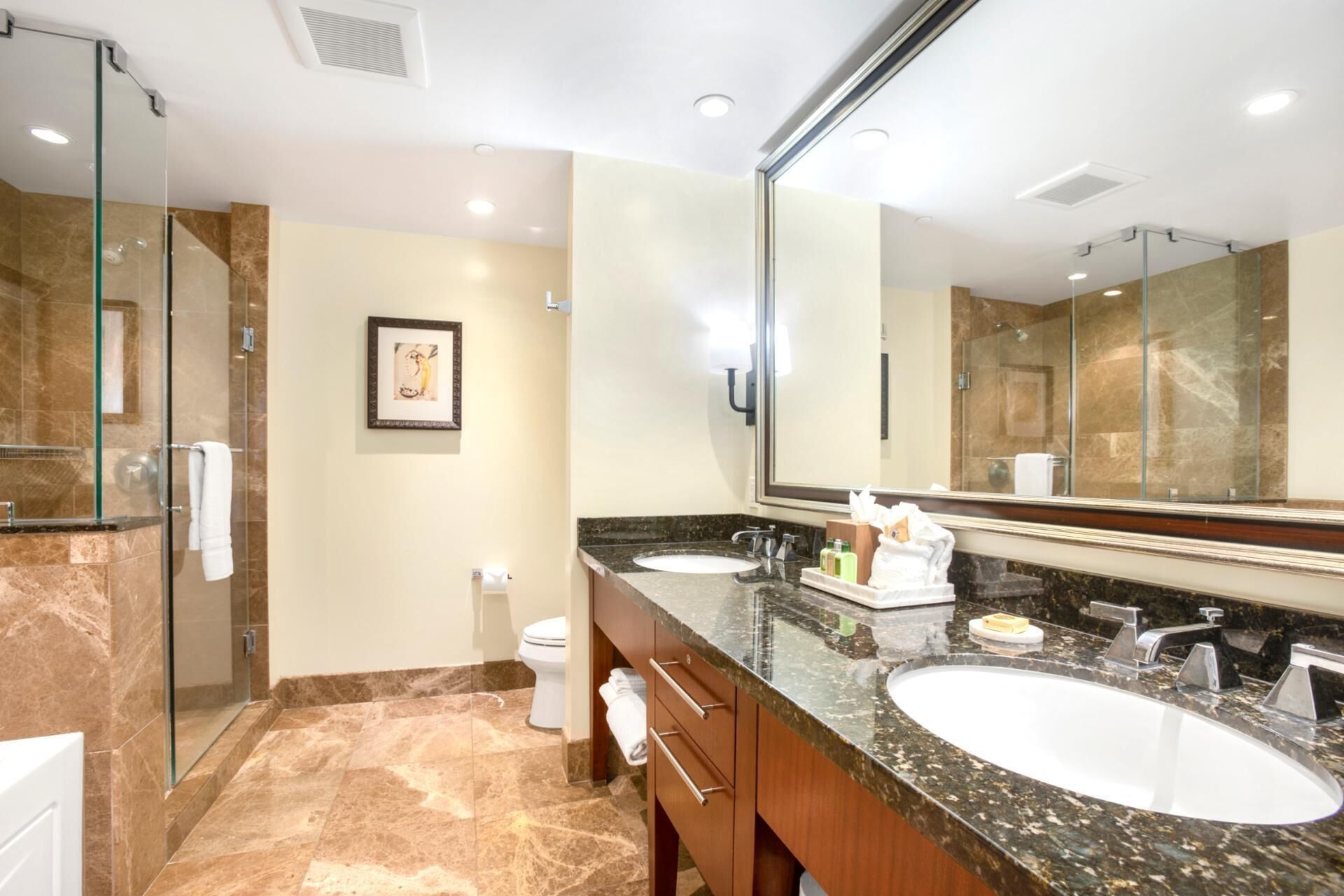 Suihku, hiustenkuivaaja, pyyhkeet