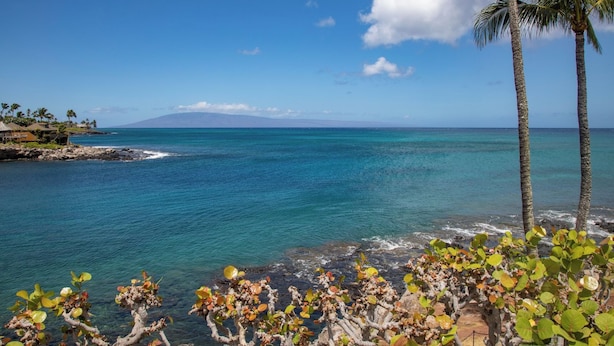 Vista costera con agua azul cristalina, una montaña distante y palmeras.
