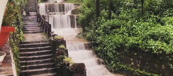 Lose yourself in Nature